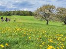 Aussicht auf dem Doberberg, Foto: M. Schmidt