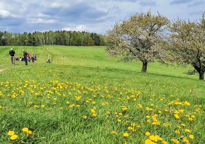 Aussicht auf dem Doberberg, Foto: M. Schmidt