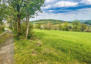 Blick zum Geisingberg